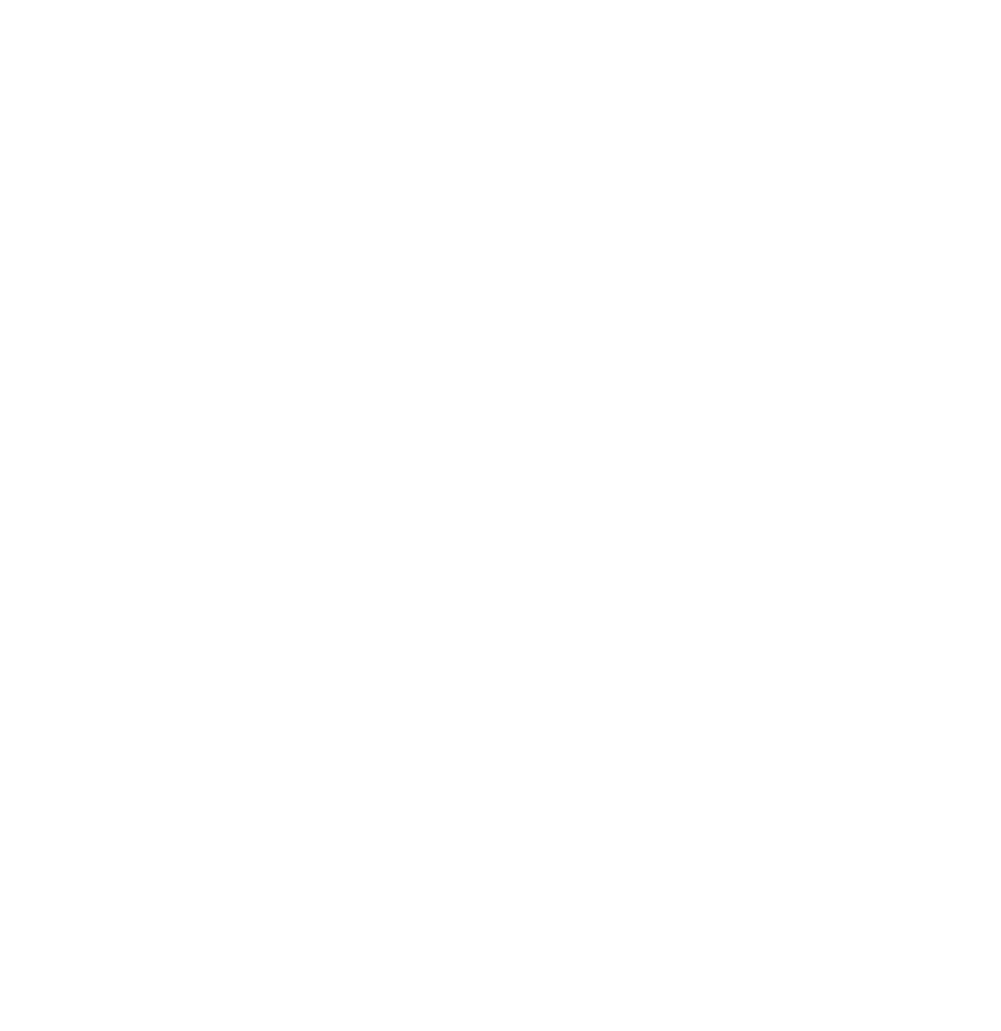 RepOtz audit